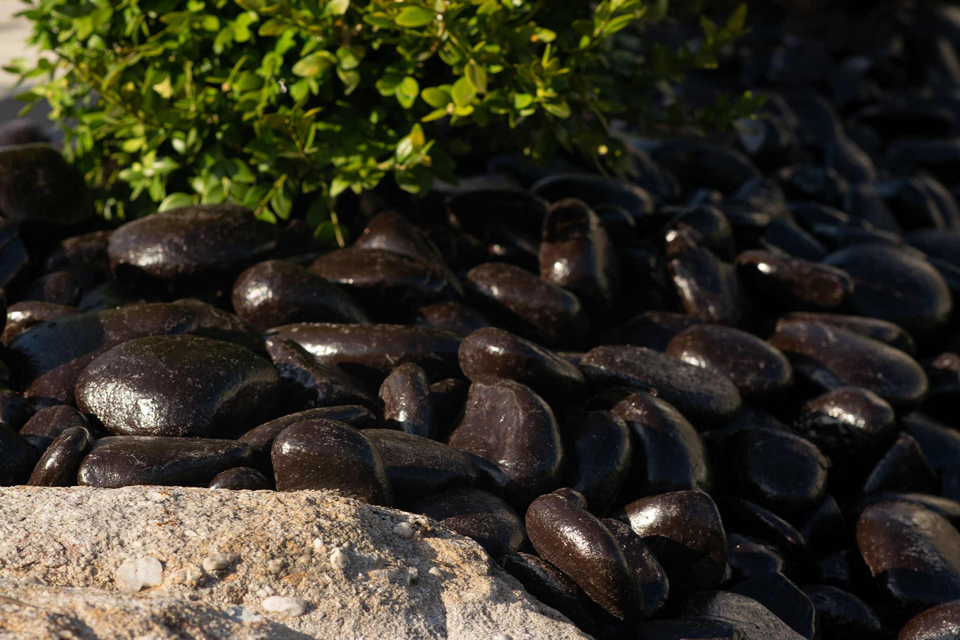 Beautiful EverGravel installation